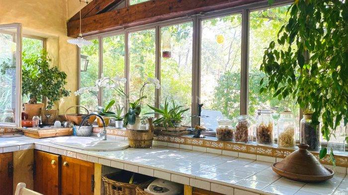 Très beau domaine équestre sur 8 hectares