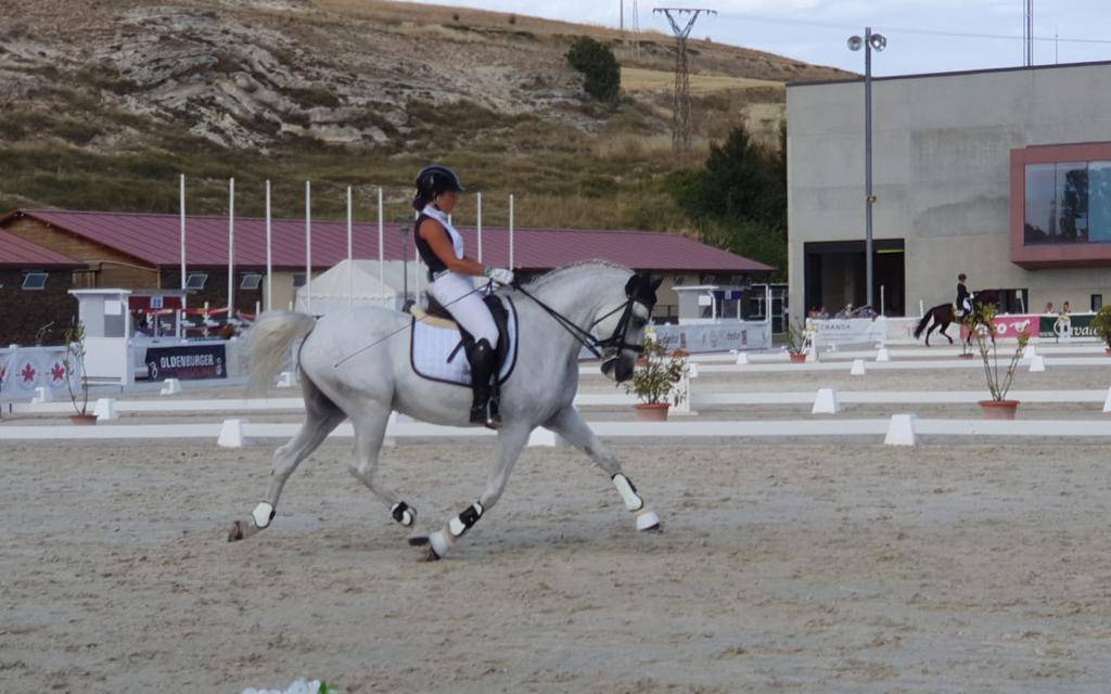 Pure race espagnole à vendre