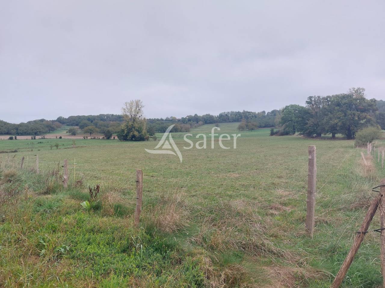 Propriété d'élevage de 19ha proche Hautefort