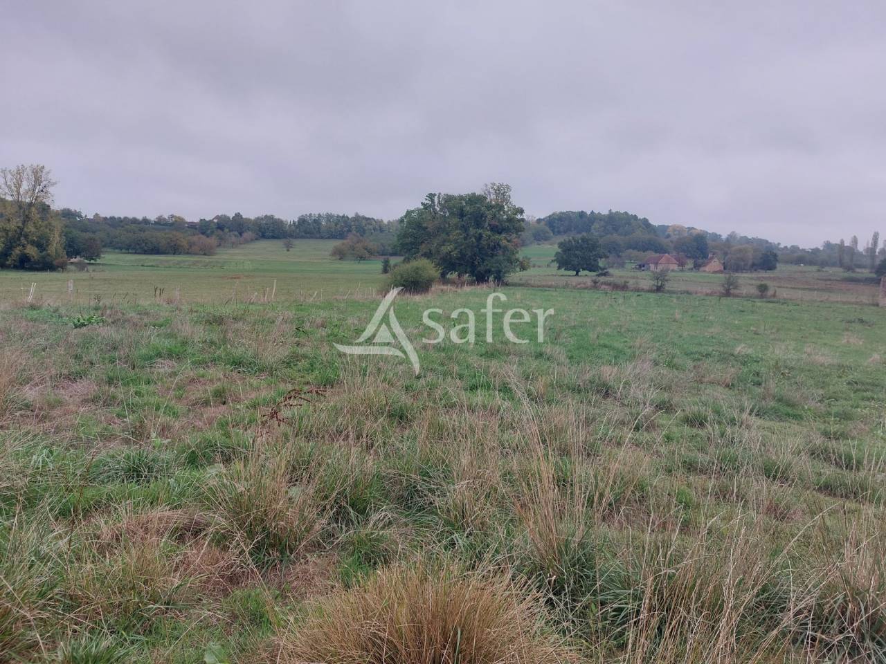 Propriété d'élevage de 19ha proche Hautefort