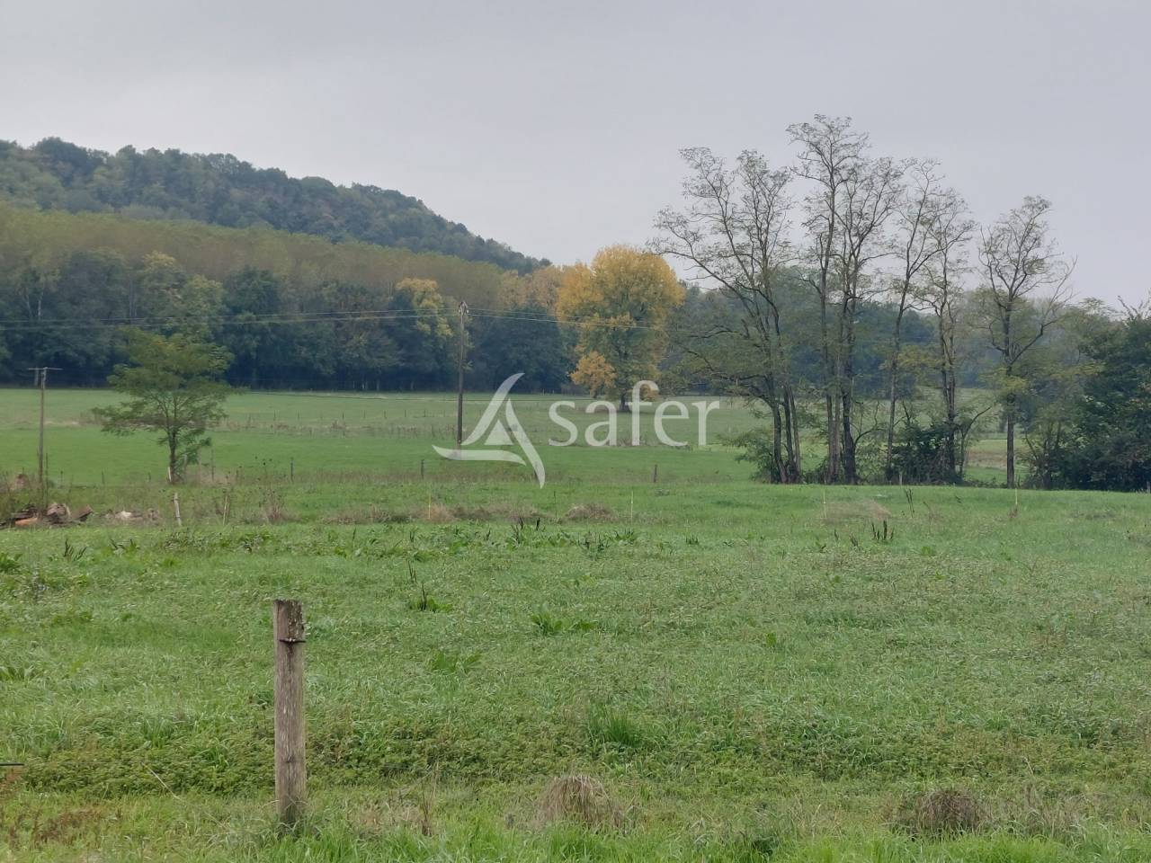 Propriété d'élevage de 19ha proche Hautefort