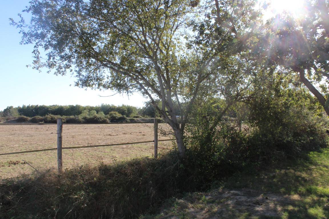 PROPRIETE DE 13 HECTARES DANS LA HAUTE GARONNE