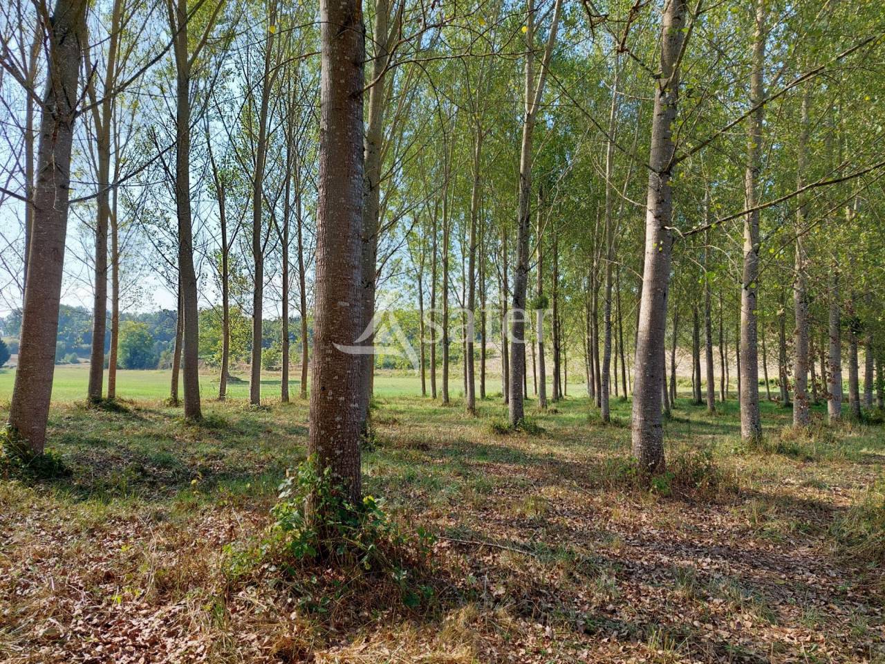 Belle propriété agricole diversifiée sur 44ha avec irrigation