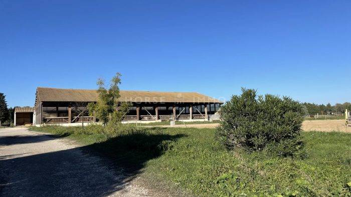 Gard - Domaine équestre sur 6 hectares