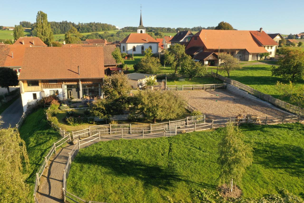 Magnifique ferme rénovée avec écurie en stabulation