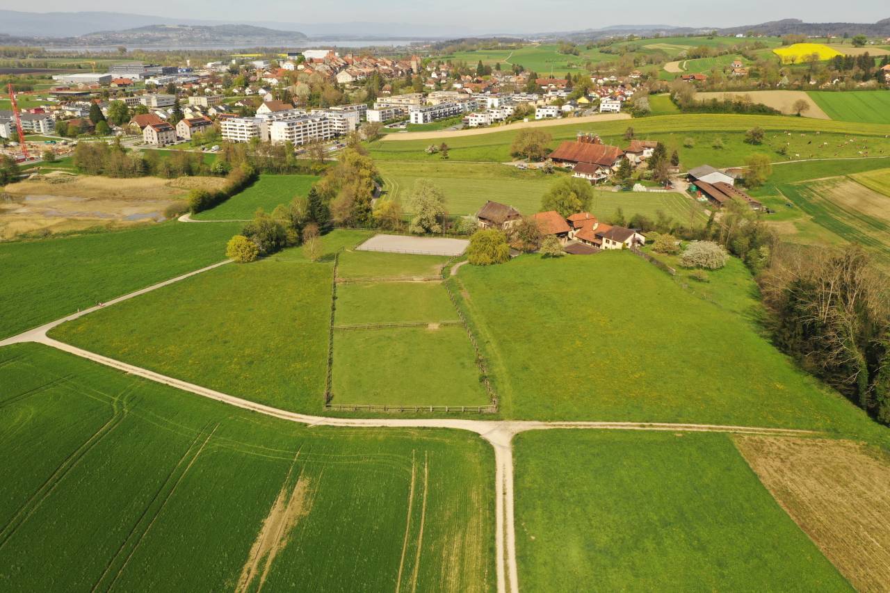 RARE Domaine équestre isolé proche de IENA
