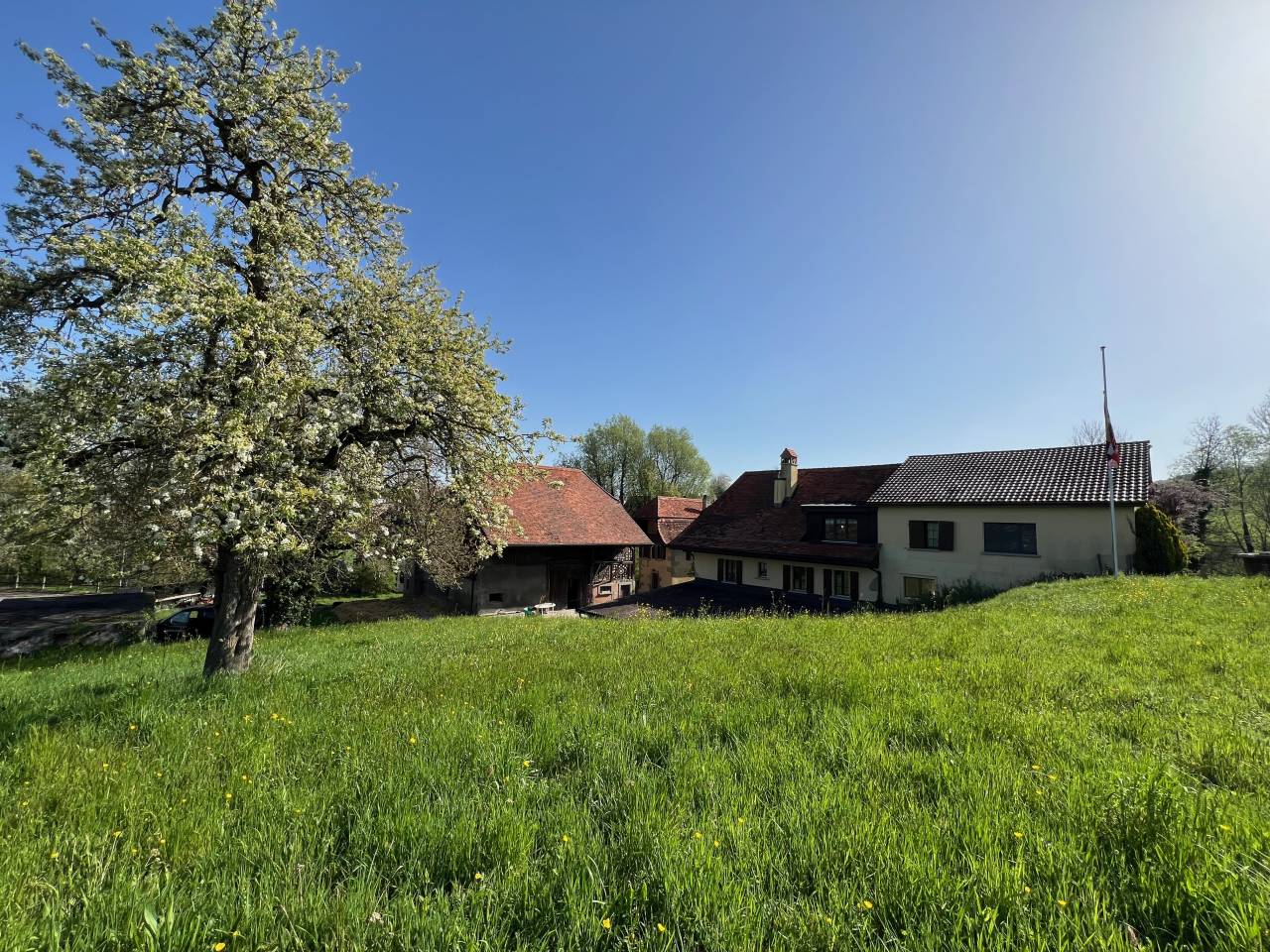 RARE Domaine équestre isolé proche de IENA
