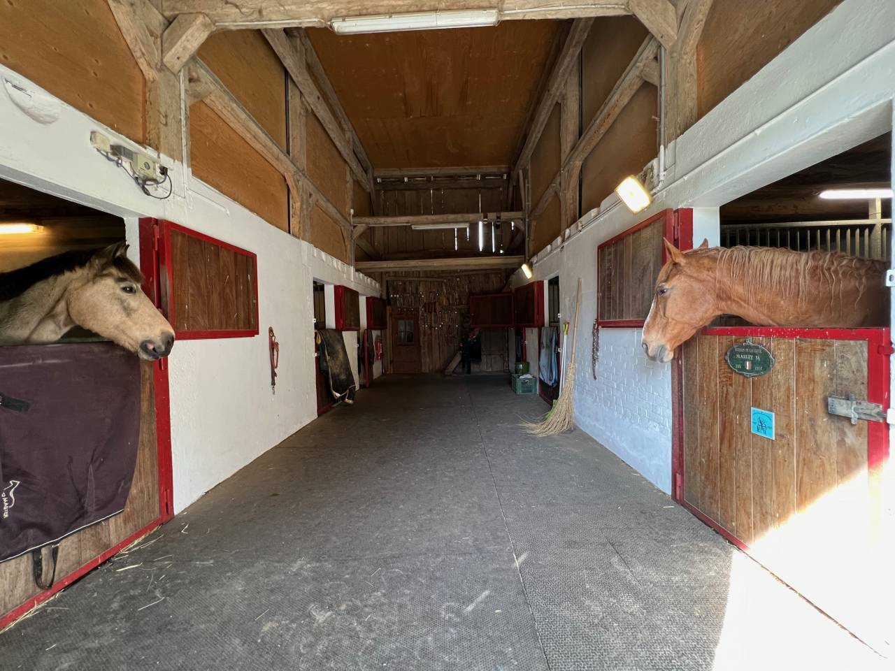 RARE Domaine équestre isolé proche de IENA