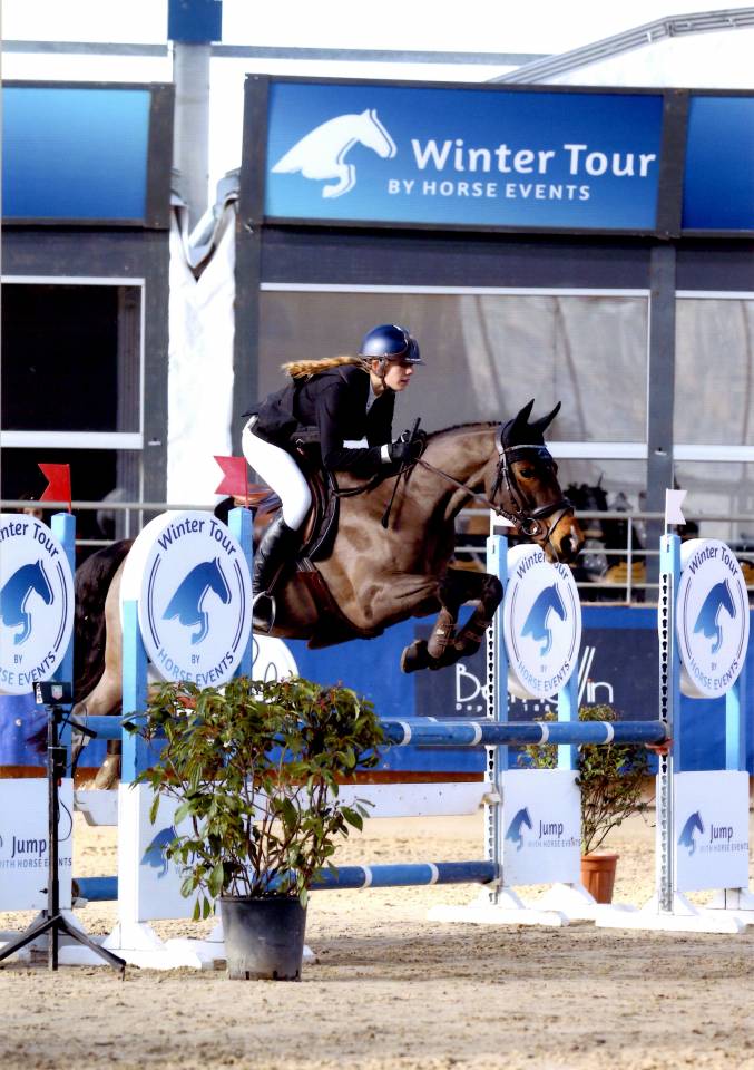 Poney Français de Selle