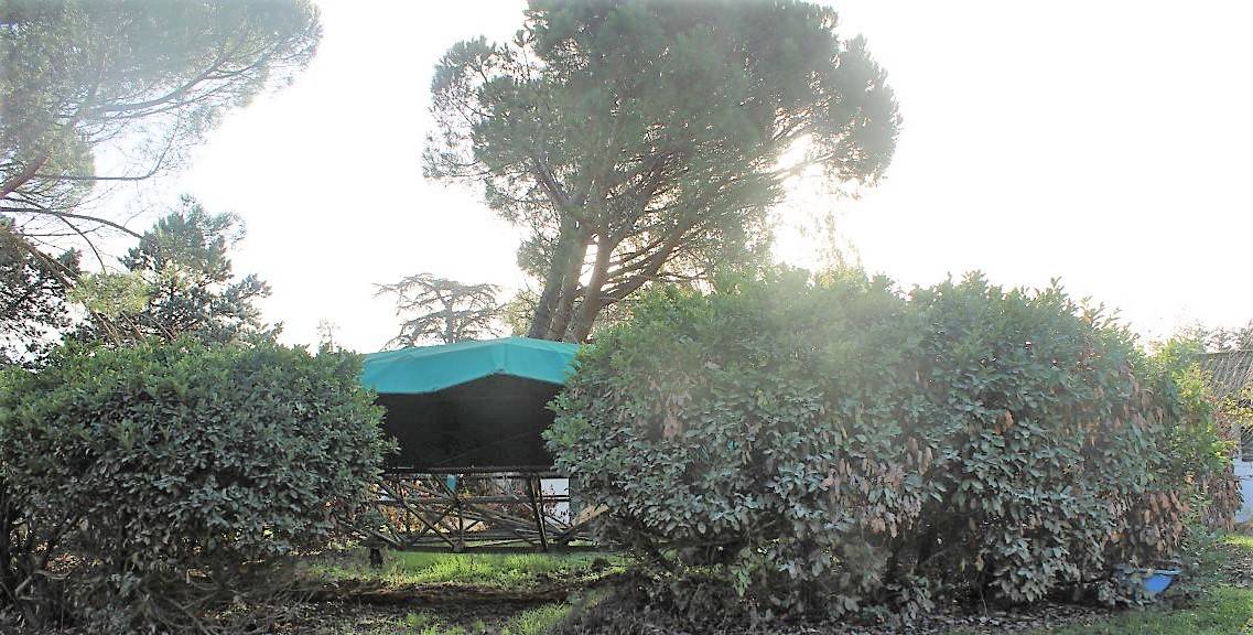 PROPRIETE EQUESTRE DANS LE TARN ET GARONNE