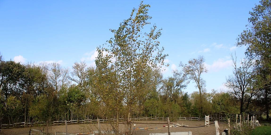 PROPRIETE EQUESTRE DANS LE TARN ET GARONNE