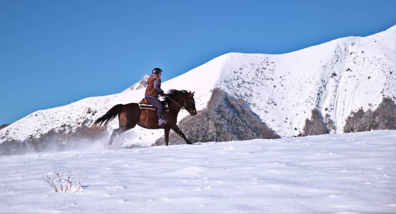 Week-end Randonnée à cheval Vercors