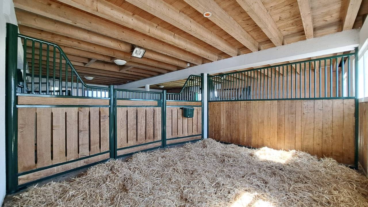 Magnifique ferme avec 3 boxes et paddock