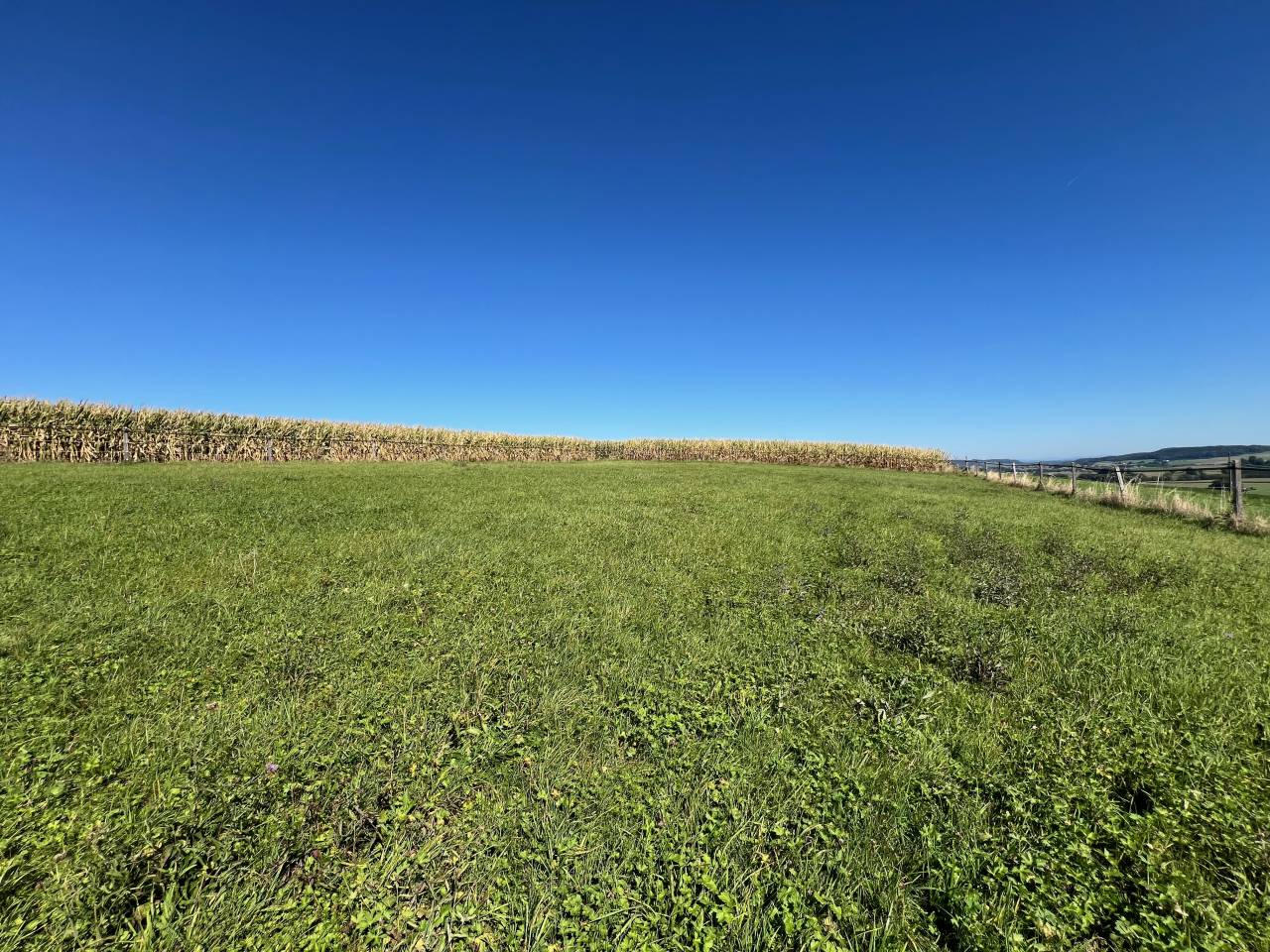 Magnifique ferme avec 3 boxes et paddock