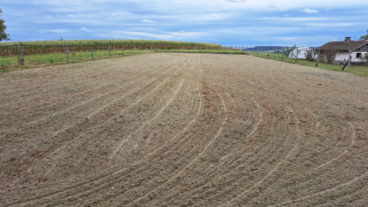 Magnifique ferme avec 3 boxes et paddock