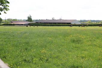 Haras 63 HA - RÉGION ARGENTAN - LE HARAS DU PIN