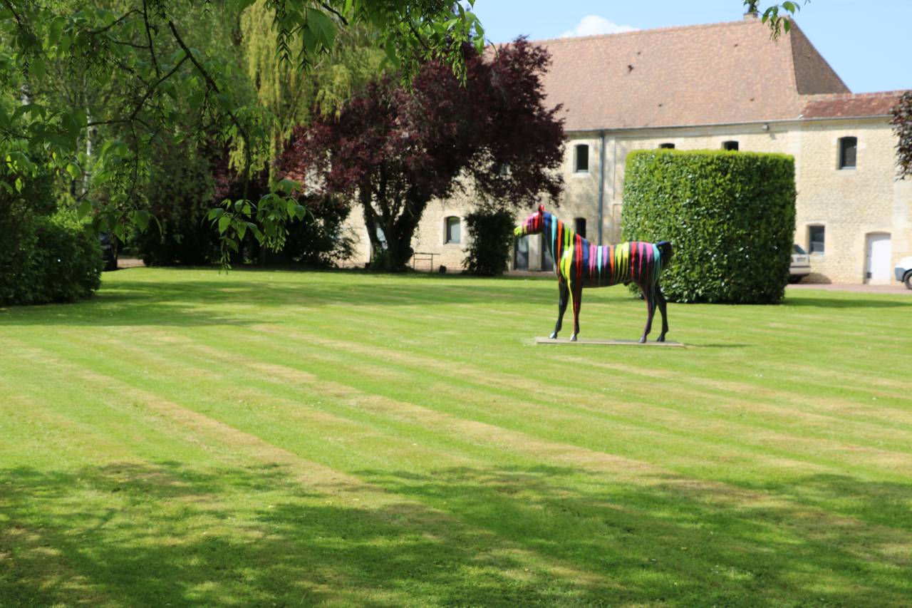 Haras 63 HA - RÉGION ARGENTAN - LE HARAS DU PIN