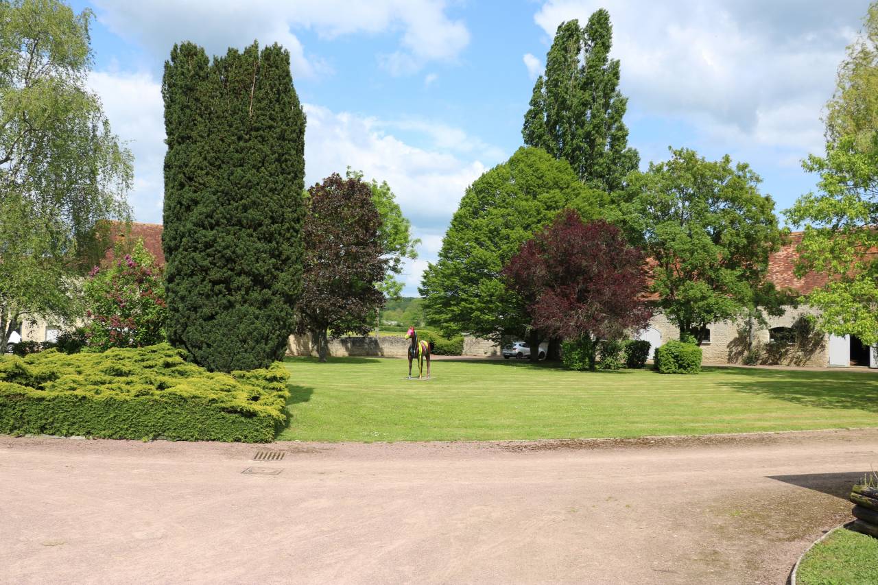 Haras 63 HA - RÉGION ARGENTAN - LE HARAS DU PIN