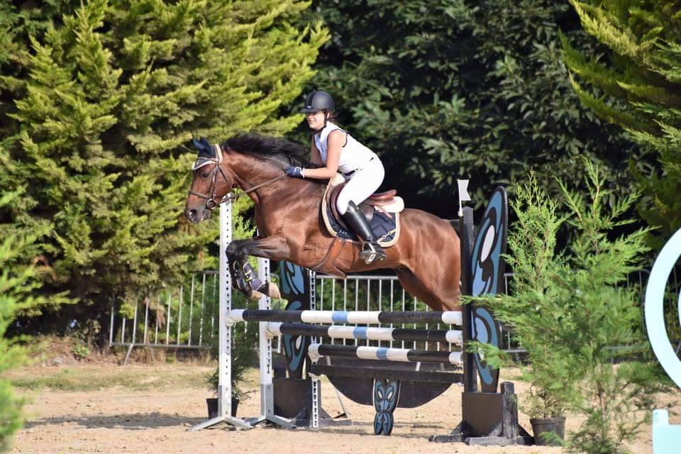 Etalon PFS najisco d'haryns IAC