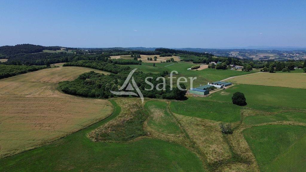Propriété agricole très bien groupée d'environ 40 ha 50