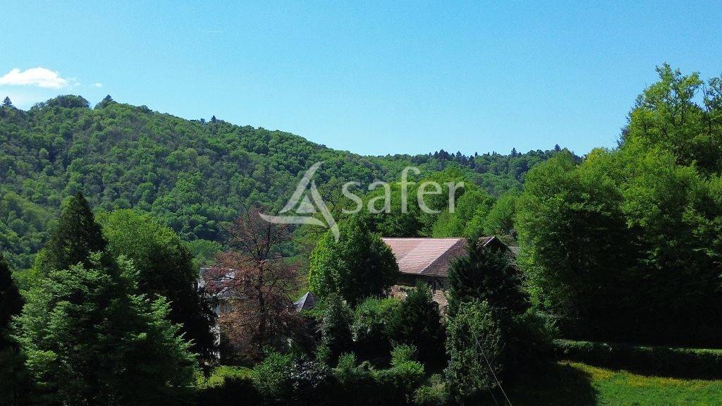 Aux portes de Tulle, domaine de 58 ha avec son bâti de caractè