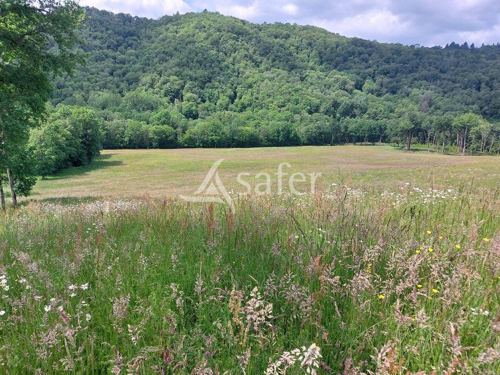 Domaine de 58 ha avec son b&acirc;ti de caract&egrave;re, &agrave; 1h30 de Clermo