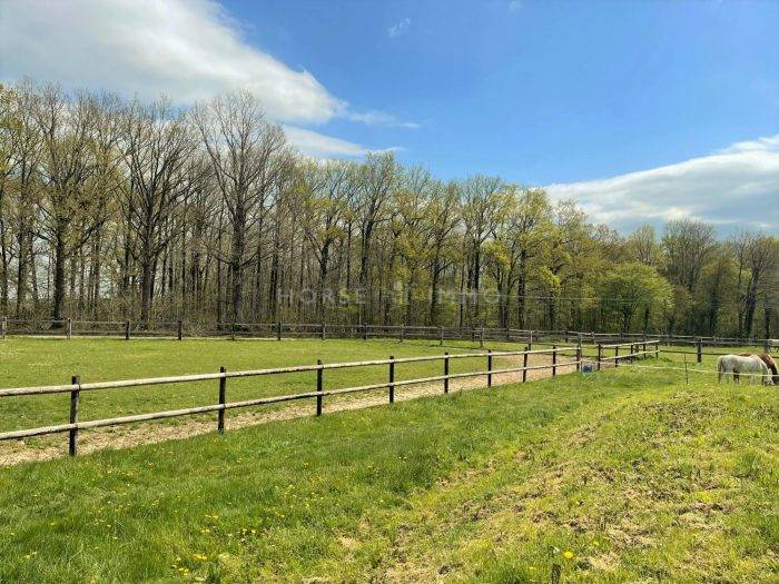 Propriété équestre Idéal Poney-club