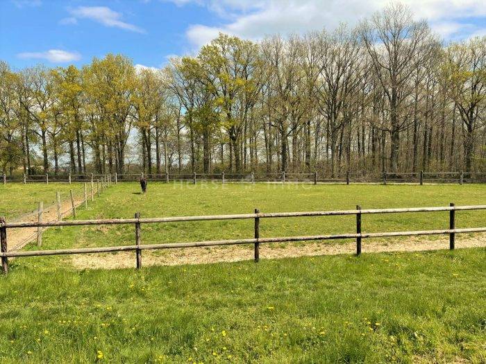 Propriété équestre Idéal Poney-club