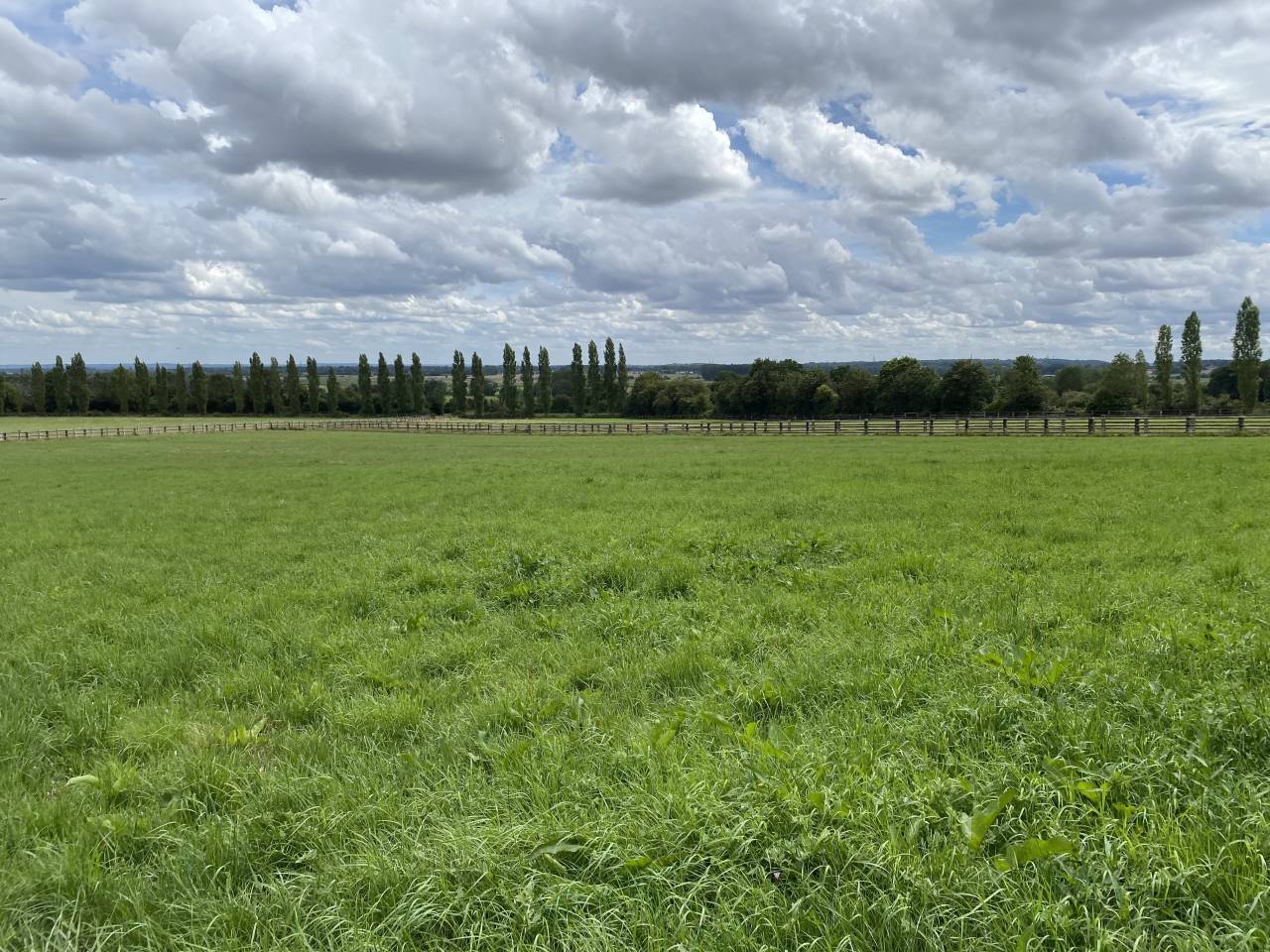 HARAS 68HA - DANS LE TRIANGLE CABOURG / CAEN /DEAUVILLE