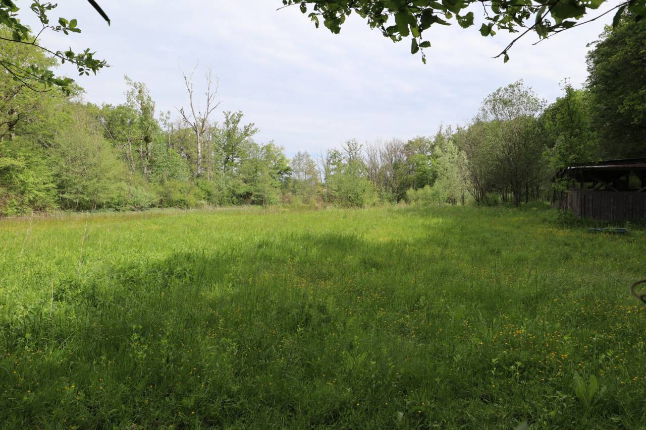 Propri&eacute;t&eacute; &eacute;questre sur 16,5 Ha - opportunit&eacute; rare aux portes