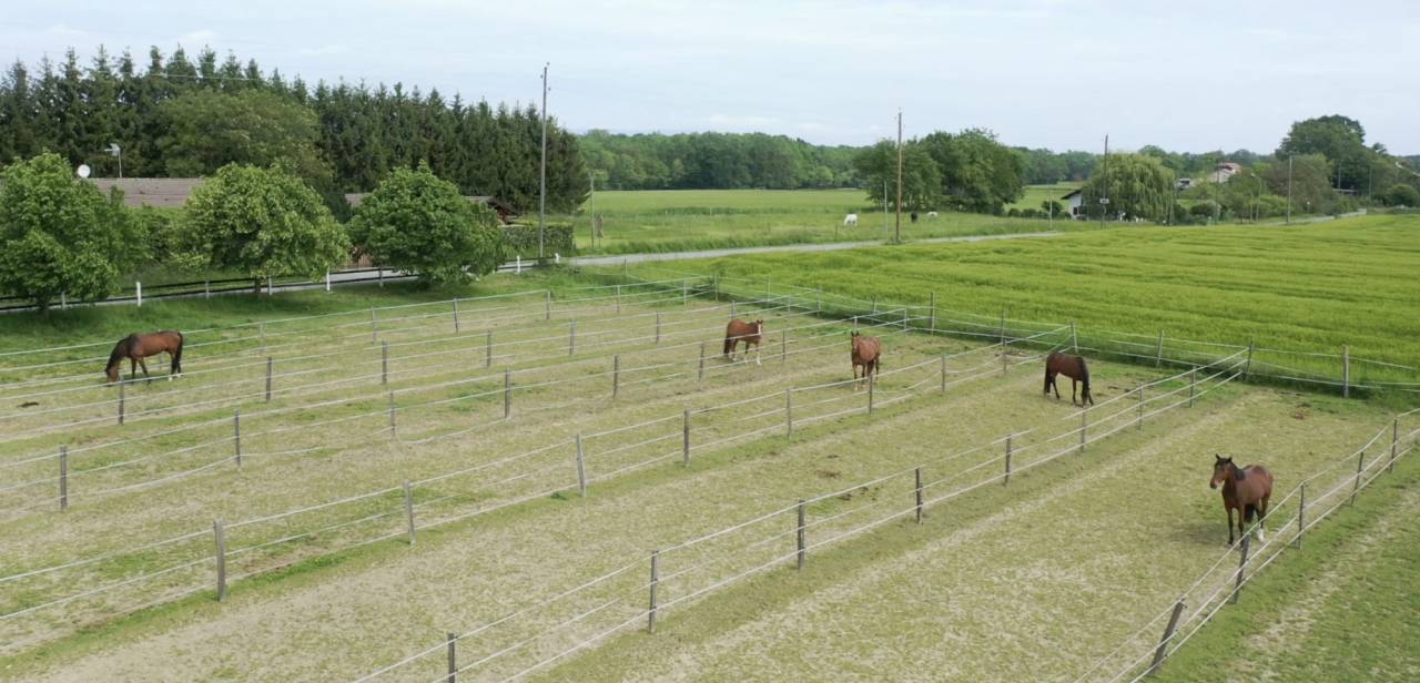 Propri&eacute;t&eacute; &eacute;questre sur 16,5 Ha - opportunit&eacute; rare aux portes