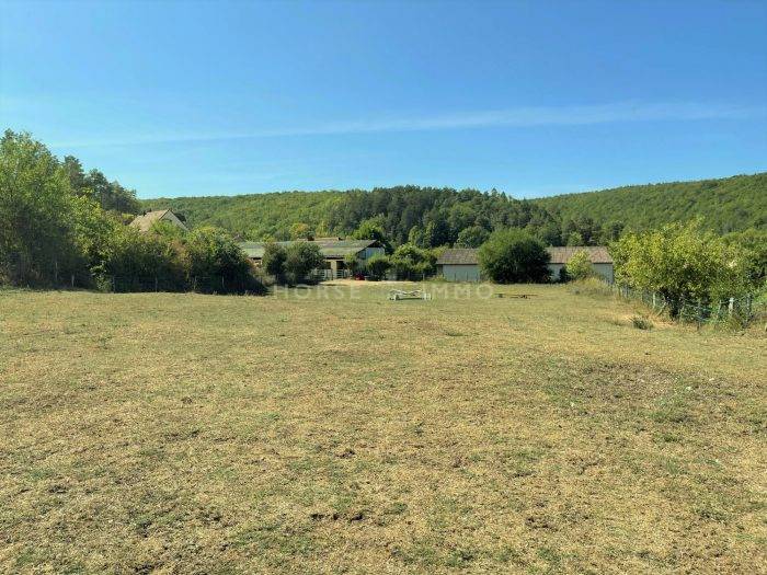 Propriété avec Deux maisons et Installations Equestres