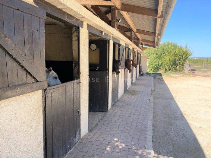 Propriété avec Deux maisons et Installations Equestres