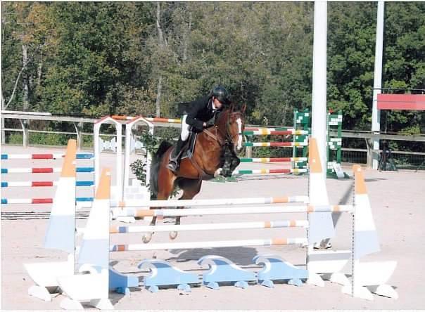 FOAL EXCEL ORIGINES - QUEL HOMME DE HUS -MERE ISO141