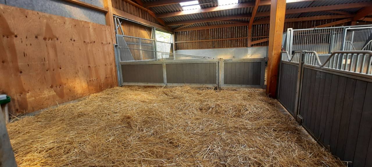 NIORT  - Structure d&eacute;di&eacute;e &agrave; l'&eacute;quitation sur 3 ha