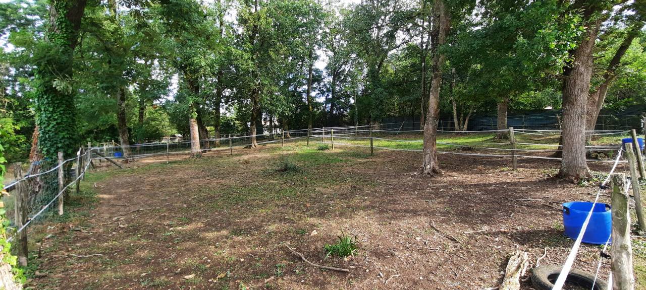 NIORT  - Structure d&eacute;di&eacute;e &agrave; l'&eacute;quitation sur 3 ha