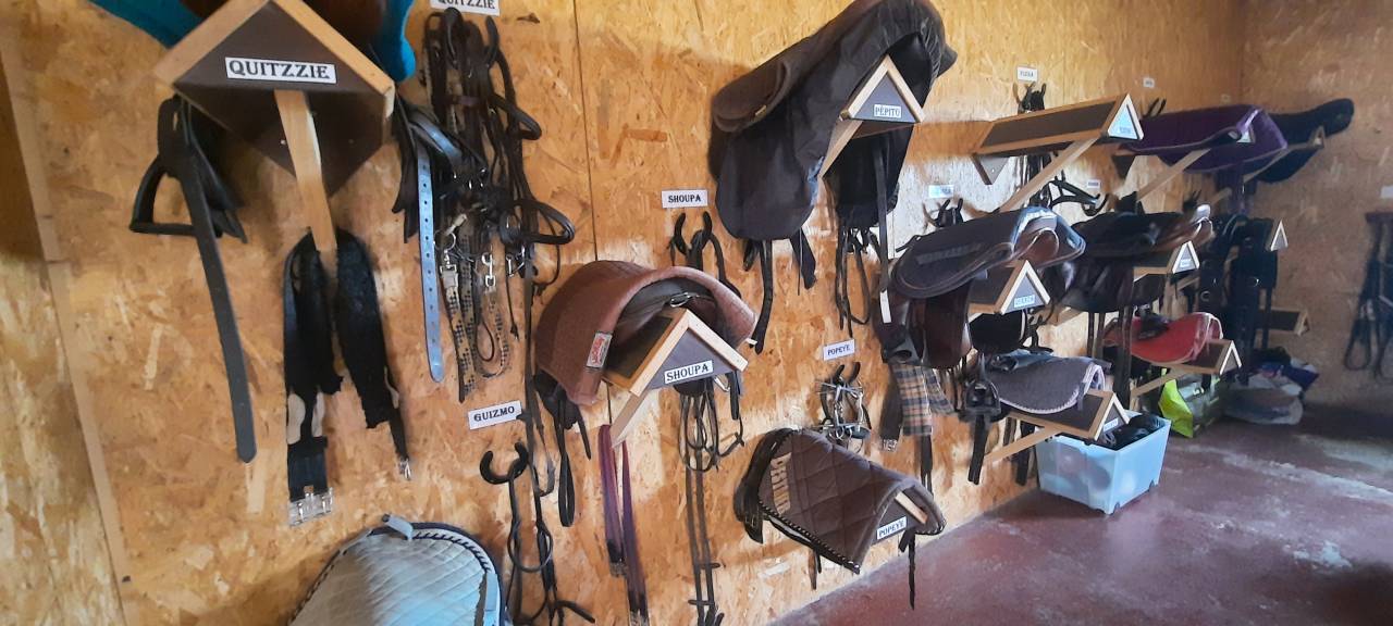 NIORT  - Structure d&eacute;di&eacute;e &agrave; l'&eacute;quitation sur 3 ha