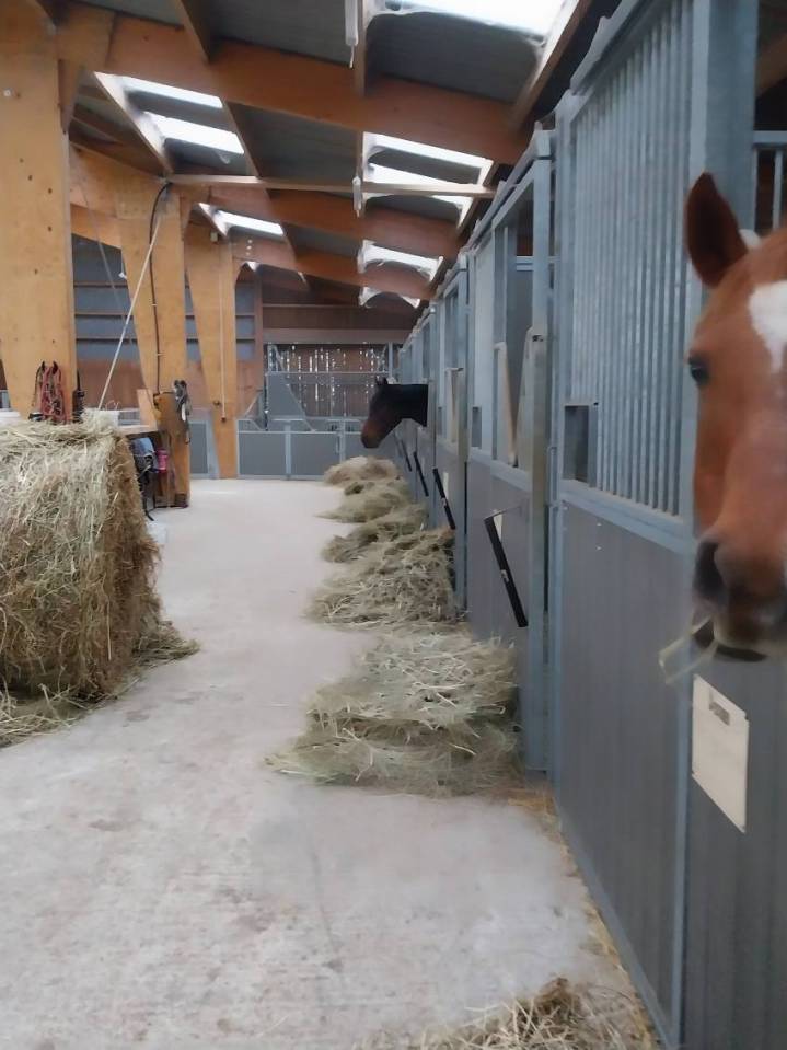 NIORT  - Structure d&eacute;di&eacute;e &agrave; l'&eacute;quitation sur 3 ha