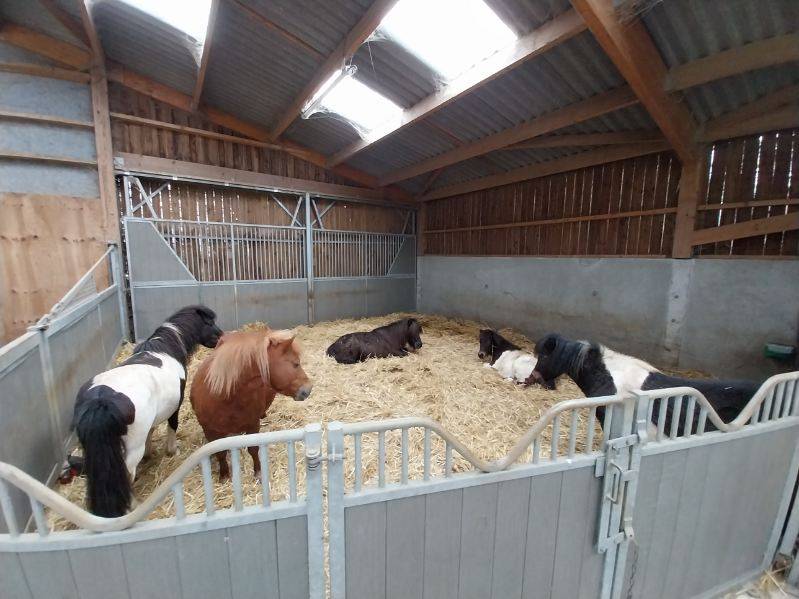 NIORT  - Structure d&eacute;di&eacute;e &agrave; l'&eacute;quitation sur 3 ha
