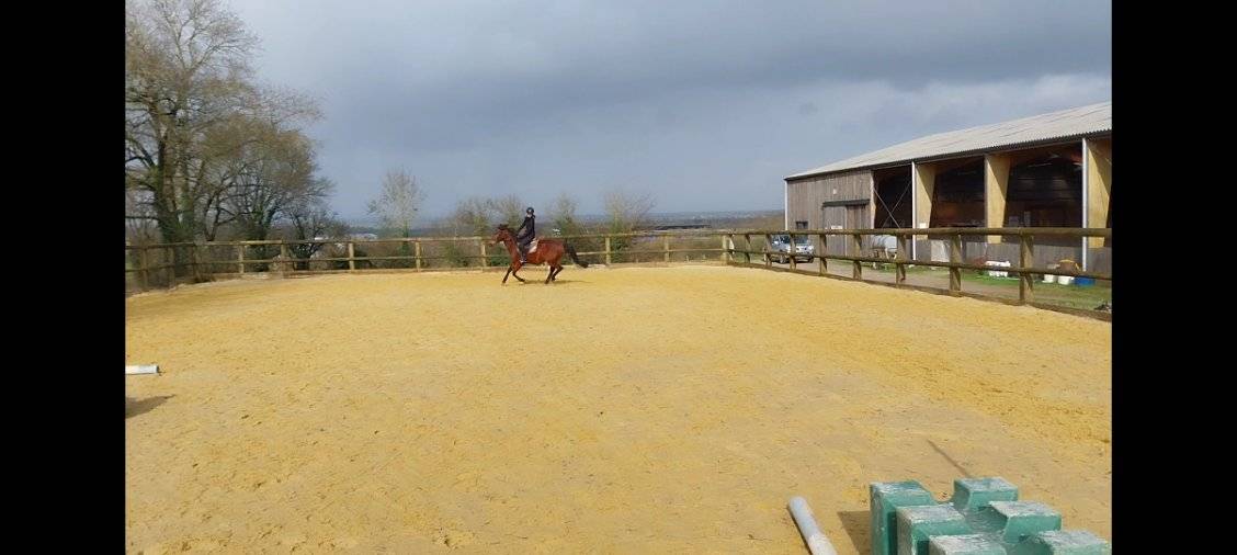 NIORT  - Structure d&eacute;di&eacute;e &agrave; l'&eacute;quitation sur 3 ha
