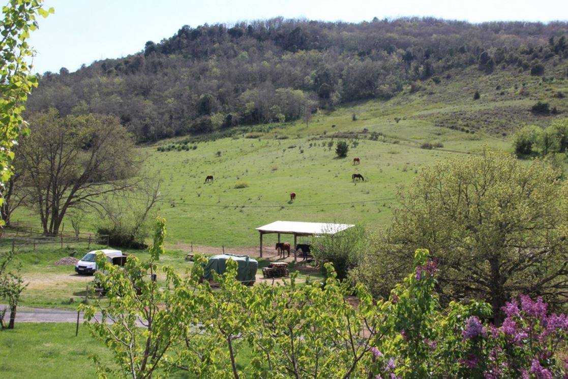 DOMAINE EQUESTRE SUR 60 HA