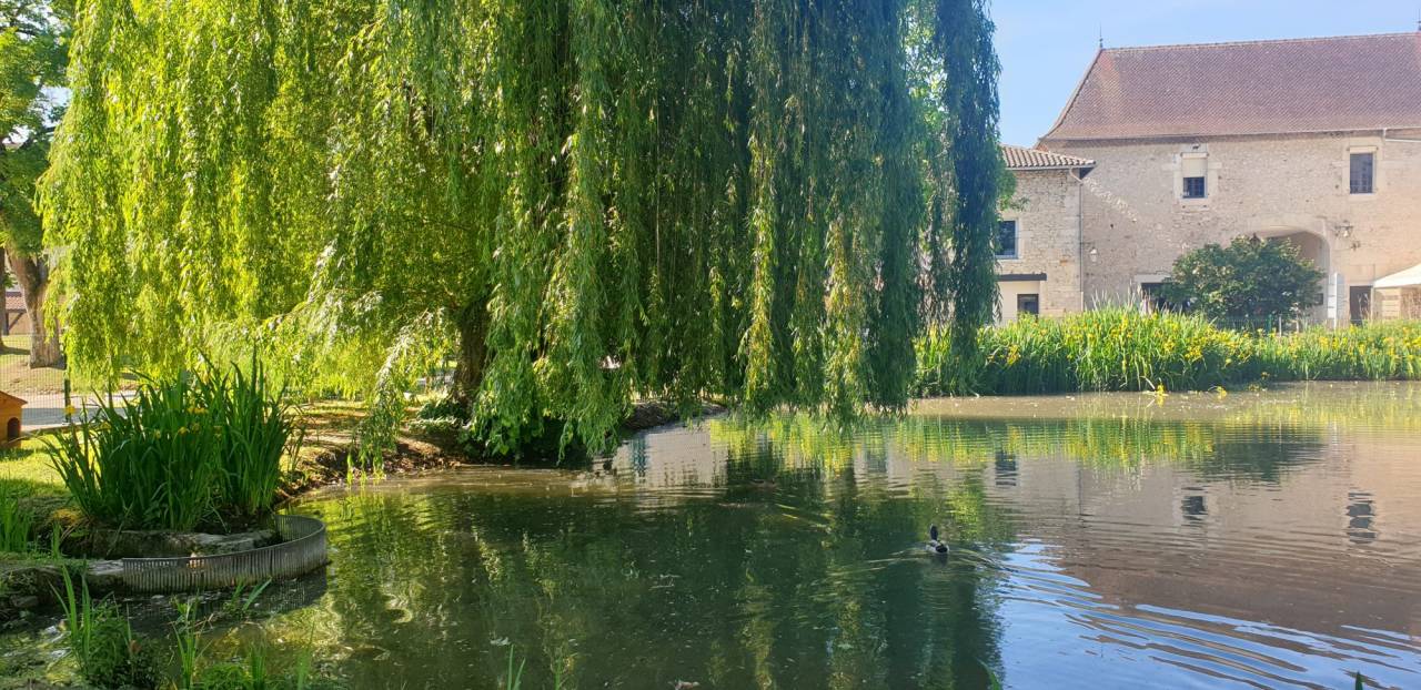 Exceptionnel relais ch&acirc;teau 4* proche de Lyon
