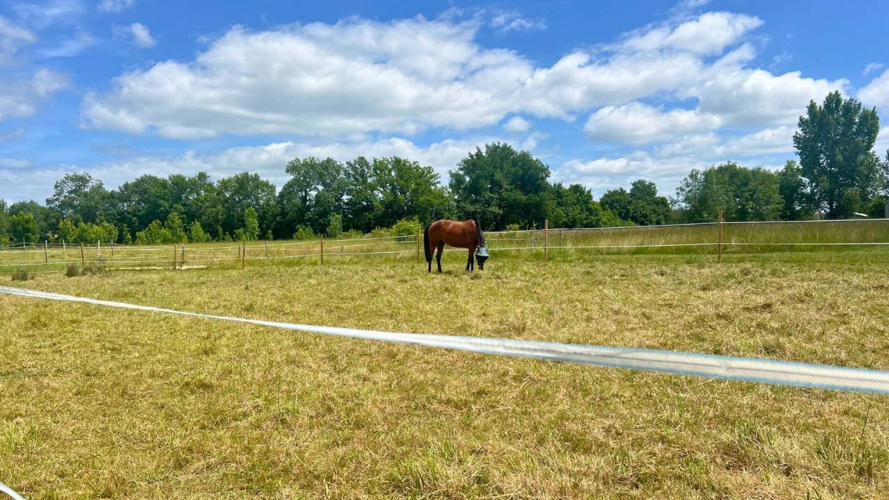 Structure équestre de 20ha dans le Lot-et-Garonne (47)