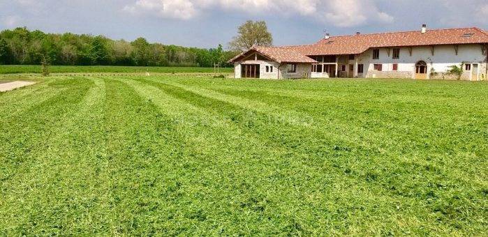 Magnifique domaine au Nord de Bourg en Bresse