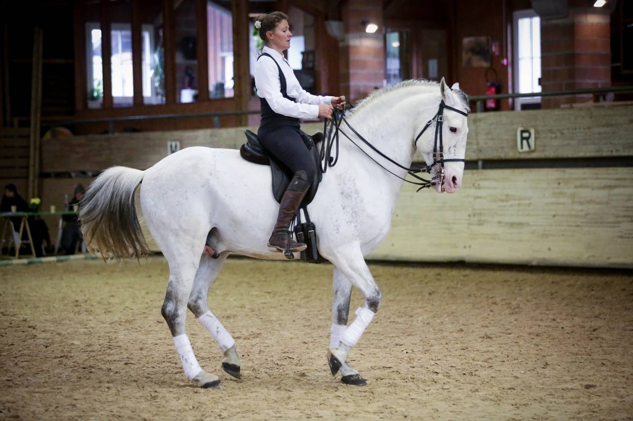 Stage personnalis&eacute; d'&eacute;quitation classique