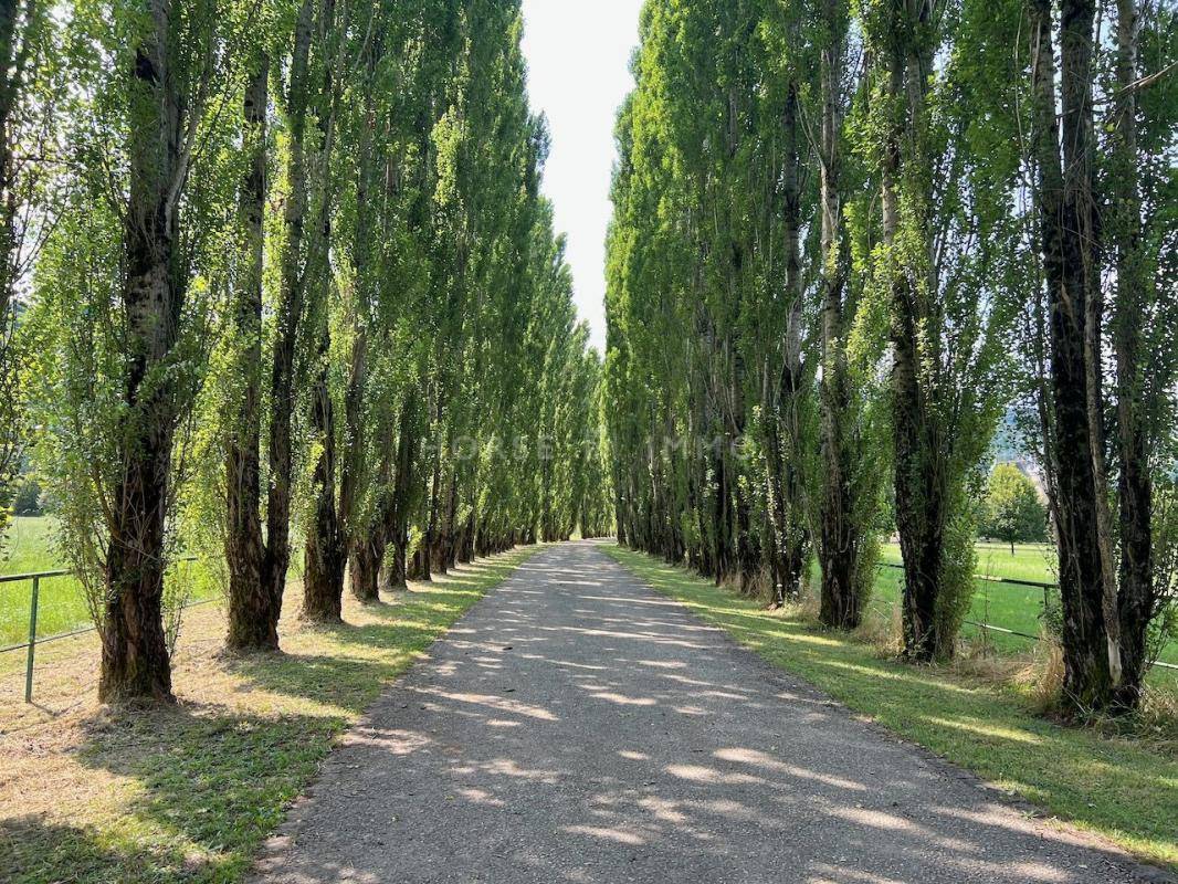 Chateau classé 130ha