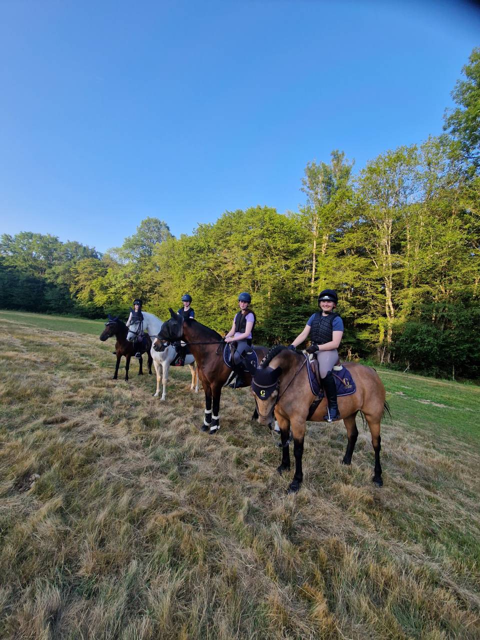 Stages Anglais Poney en France chez les Gateau Stables 