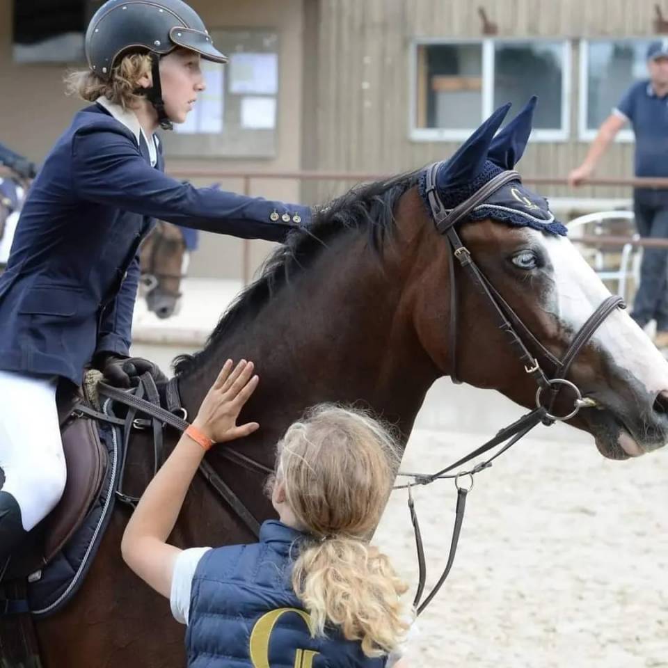 Stages Anglais Poney en France chez les Gateau Stables 