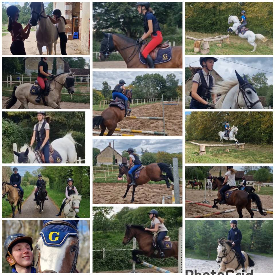 Stages Anglais Poney en France chez les Gateau Stables 