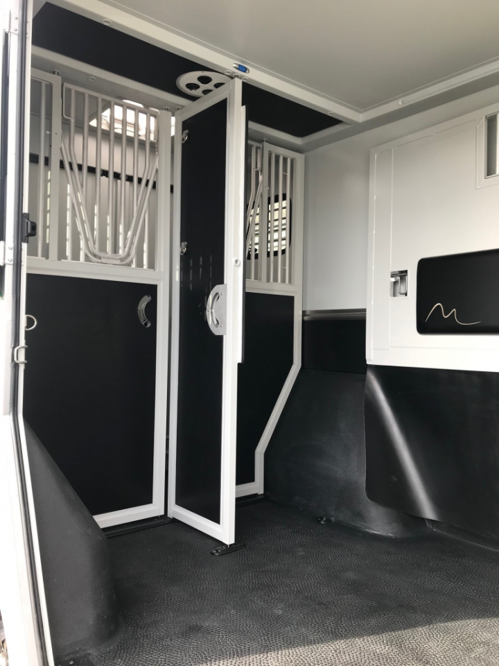 CAMION CHEVAUX THEAULT - TO646